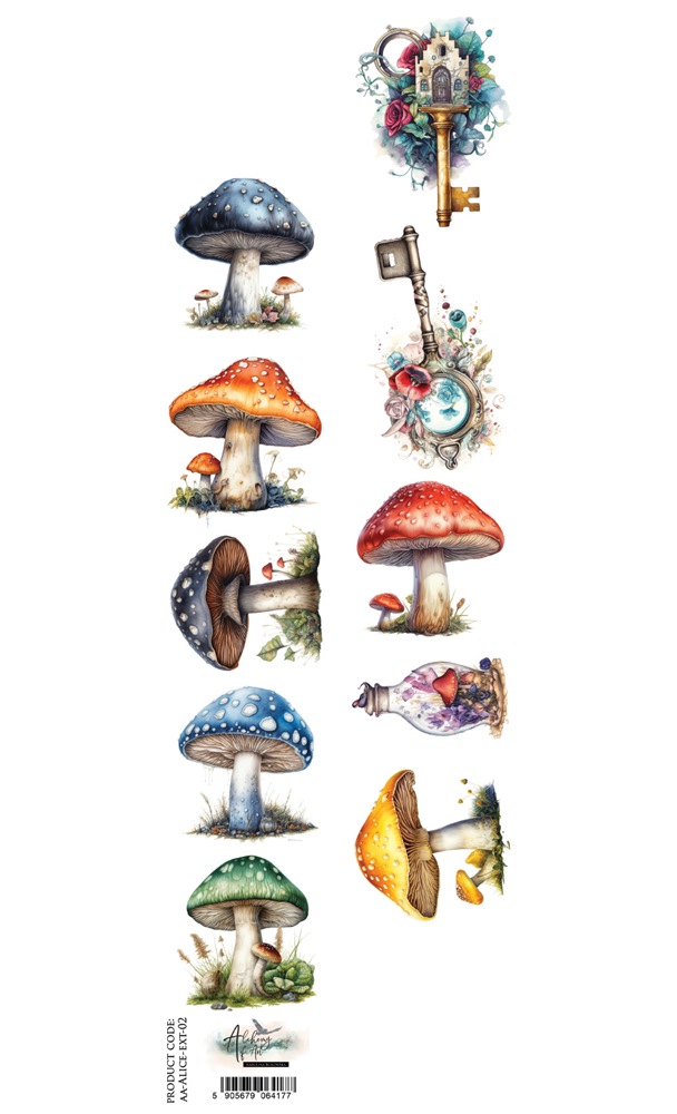 Paper 30x5 cm – Alice 02