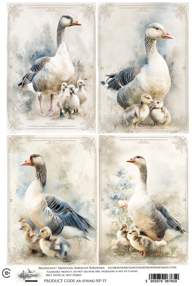 Rice paper 15, Spring, A4 (21x29,7cm) 25-30g