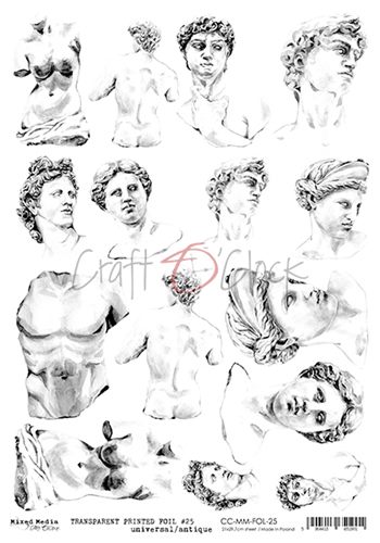 Transparent black printed foil 25 (21,0x29,7cm, 100 microns)