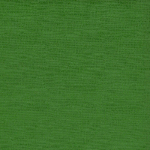 Textured Cardstock 30,5x30,5 cm MOSS 216 gsm, 1 Sheet (loose labels)
