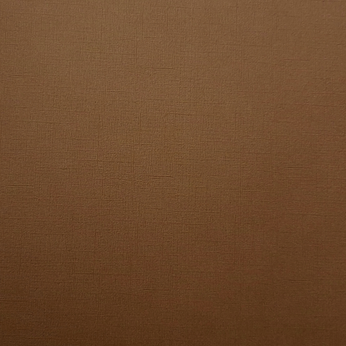 Textured Cardstock 30,5x30,5 cm BROWN 216 gsm, 1 Sheet (loose labels) Textured Cardstock 30,5x30,5 cm BROWN 216 gsm, 1 Sheet (loose labels)