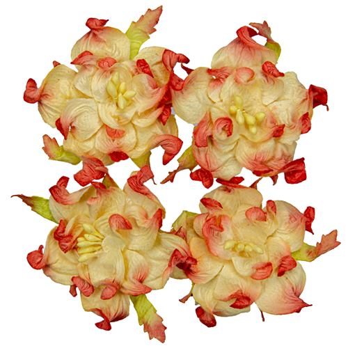 Handmade mulberry Gardenia, dia ~5cm, 4 pcs, CREAM-ORANGE