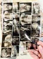 Transparent foil Behind Closed Doors, A5, 14,8x21cm, 70g (1sheet) Transparent foil Behind Closed Doors, A5, 14,8x21cm, 70g (1sheet)