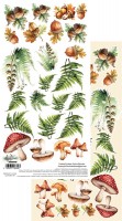 Double-sided paper 30,5x15 cm Friends of the Forest, forest plants to cut, 250 gsm, 2 designs (1 sheet)