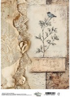 Rice paper 4, In the Library, A4 (21x29,7cm) 25-30g