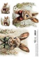 Rice paper 2, Spring, A4 (21x29,7cm) 25-30g