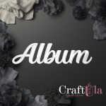 Mirrored silver plexiglass Album (2 pcs, 7,5x3cm)
